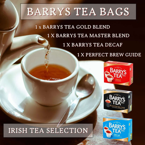 Barrys Tea Bags Tea Selection Bundle - 240 Tea Bags with Barry's Tea Gold Blend, Master Blend, and Irish Breakfast Tea Including Mint Retail Perfect Brew Guide